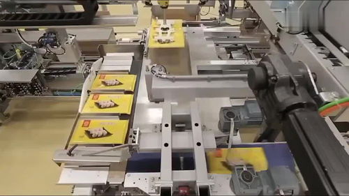 中國機(jī)械全自動(dòng)餃子生產(chǎn)線,全機(jī)械化操作,整個(gè)工廠看不到一個(gè)人