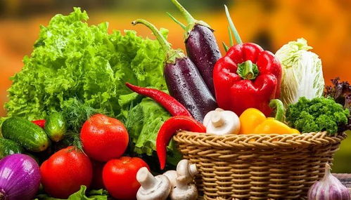 垃圾分類新潮流 苗木廢棄物如何處理？生活垃圾分類實用小妙招