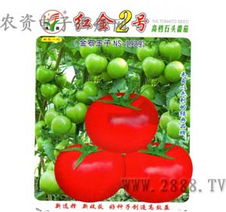 生機勃勃的后院 瓜果蔬菜種子與苗木選購指南